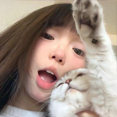 盗贴人生